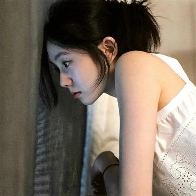 漂亮马驹